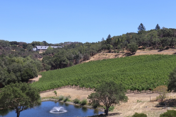 California agriculture